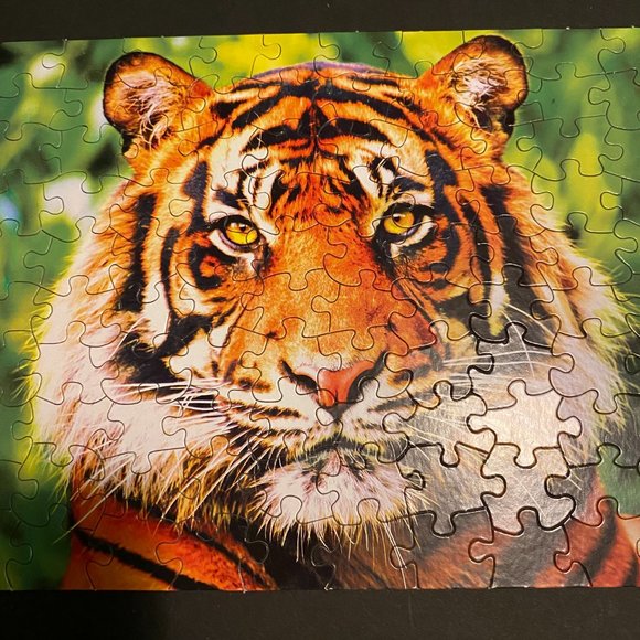 puzzles - Picture 8 of 9